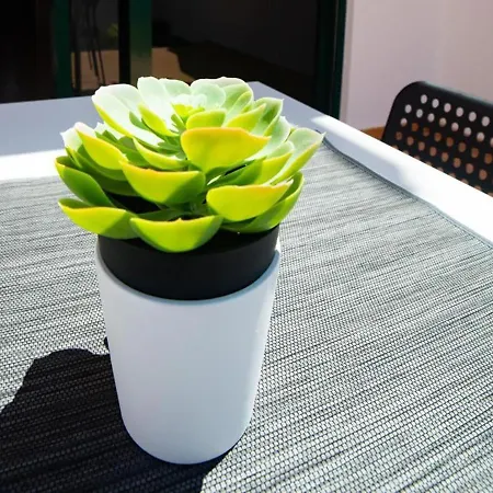 La Pituca * Playa Blanca