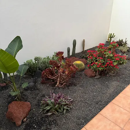 La Pituca Apartment Playa Blanca (Lanzarote)