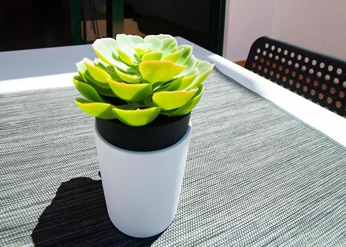 La Pituca * 普拉亚布兰卡