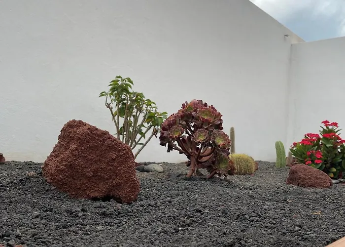 La Pituca Playa Blanca (Lanzarote)