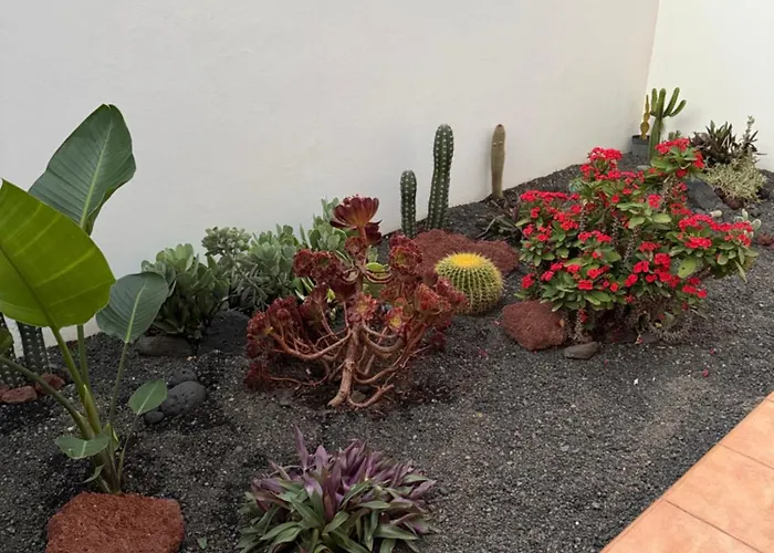 La Pituca Appartamento Playa Blanca (Lanzarote)